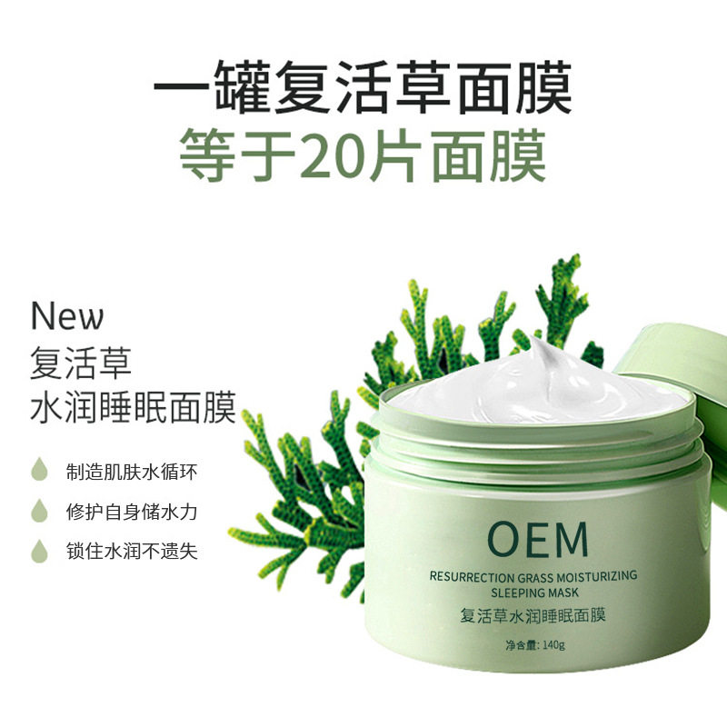 开洋_复活草睡眠面膜OEM